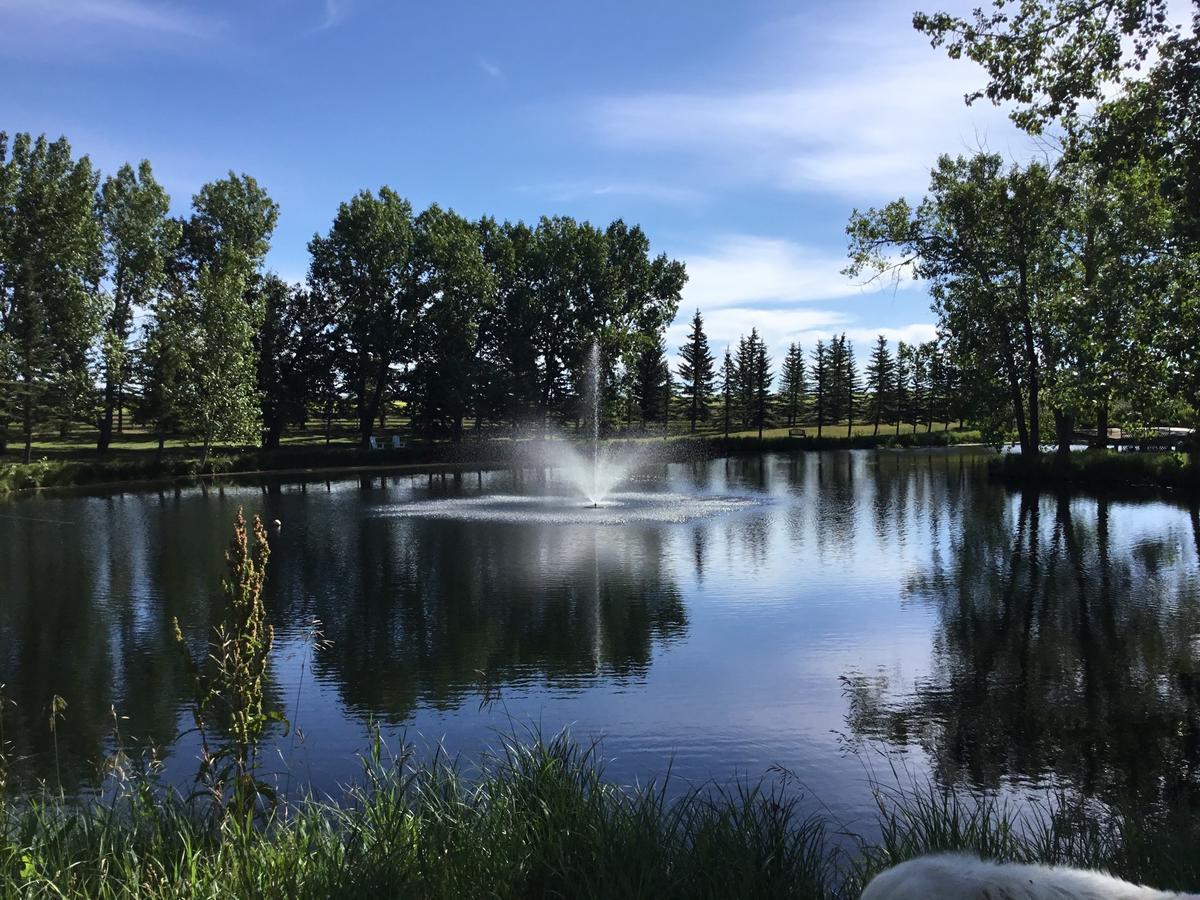 Rolling Hills Country Resort Bed And Breakfast スリーヒルズ エクステリア 写真